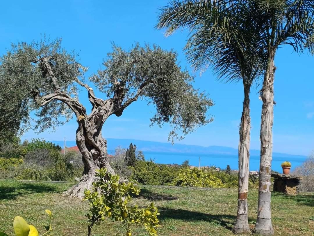 فيلا Profumo Di Zagara أتشيريالي المظهر الخارجي الصورة